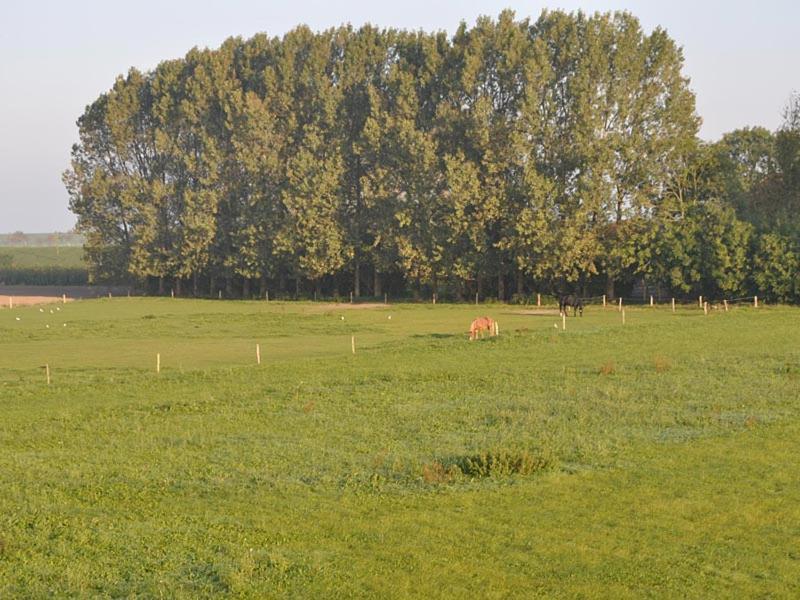 Caro Hus - Carolinensiel Villa Eksteriør bilde